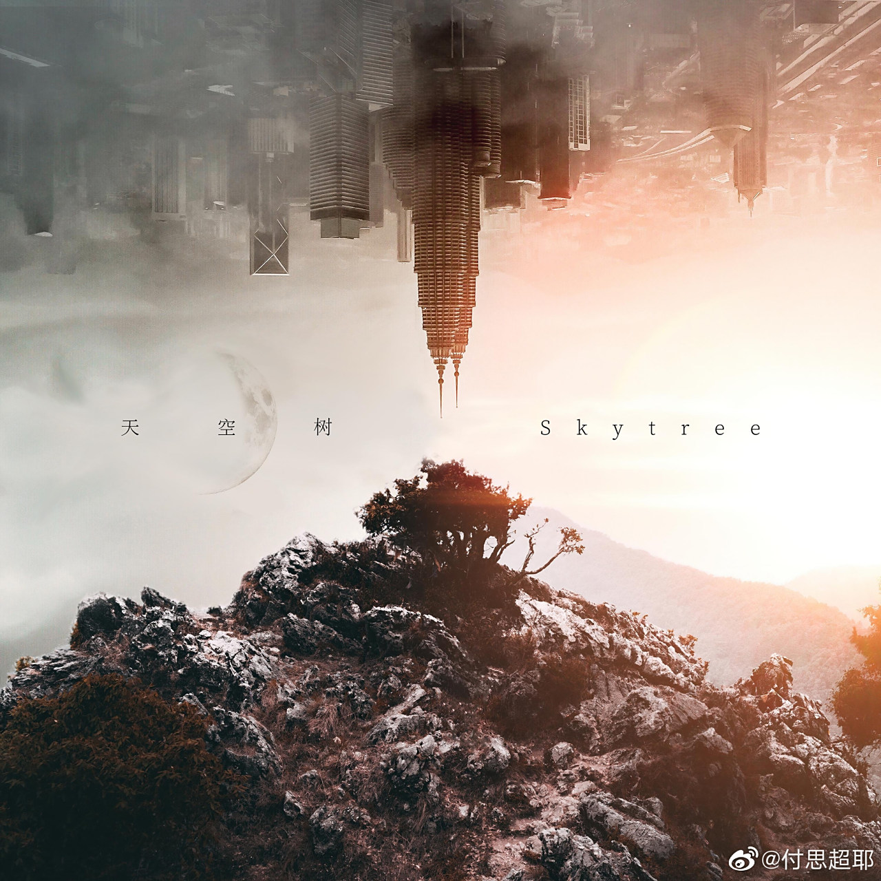 发条月亮《天空树》(网易云音乐)