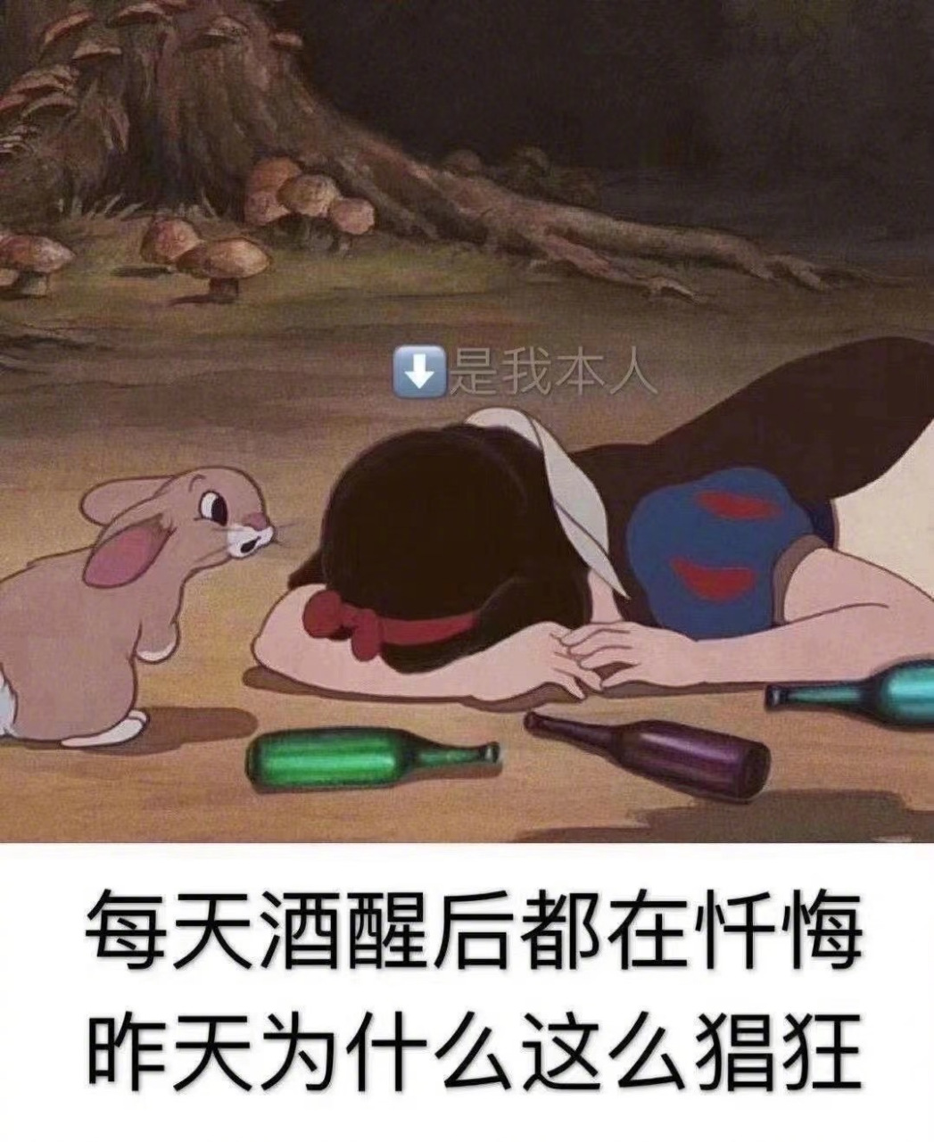 我再也不喝酒了