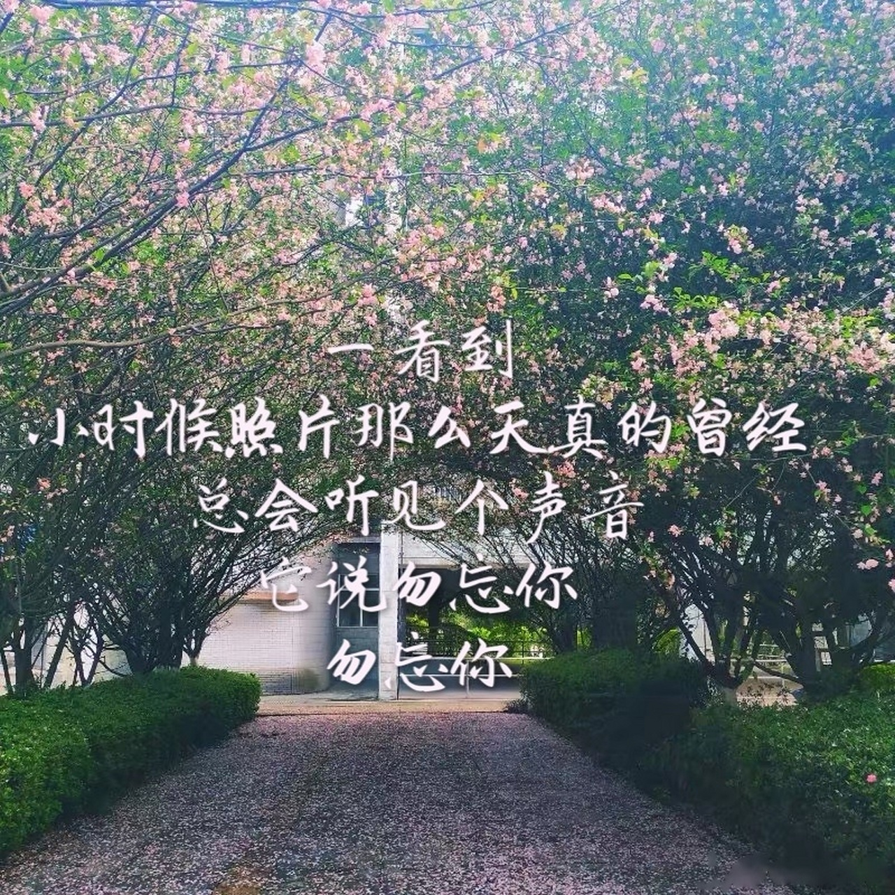 勿忘你-林宥嘉[音乐] 一看到 小时候照片那么天真的曾经 总会听见个