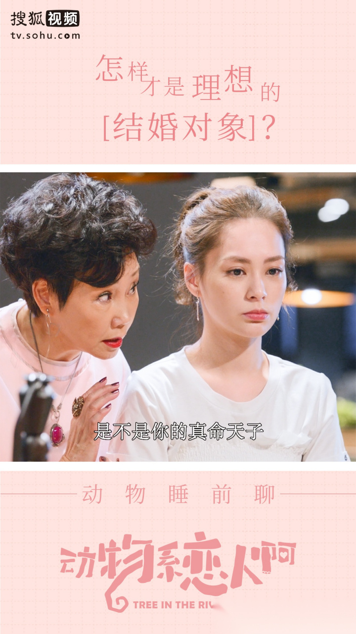《动物系恋人啊》【天作茶话会】今晚的晚安话题:怎么才是理想的结婚