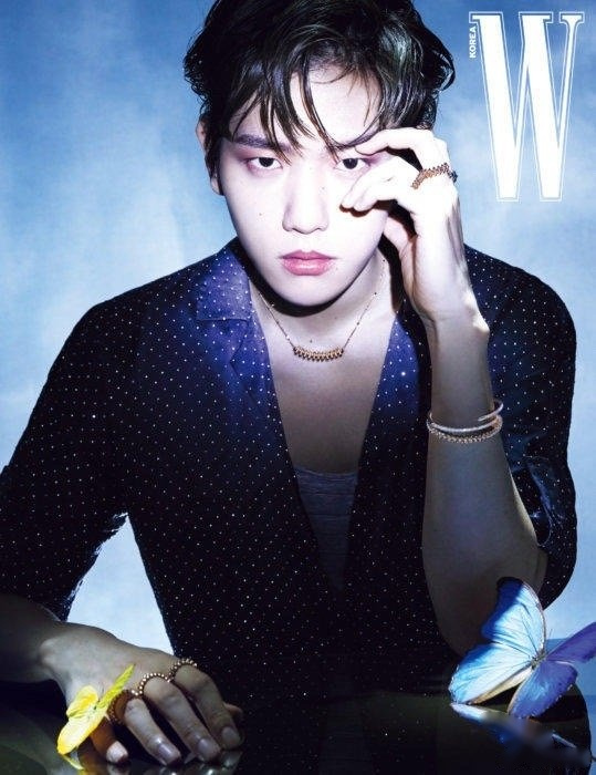 exo成员边伯贤的一组最新杂志写真近日在网上曝光,吸引了广大粉丝的