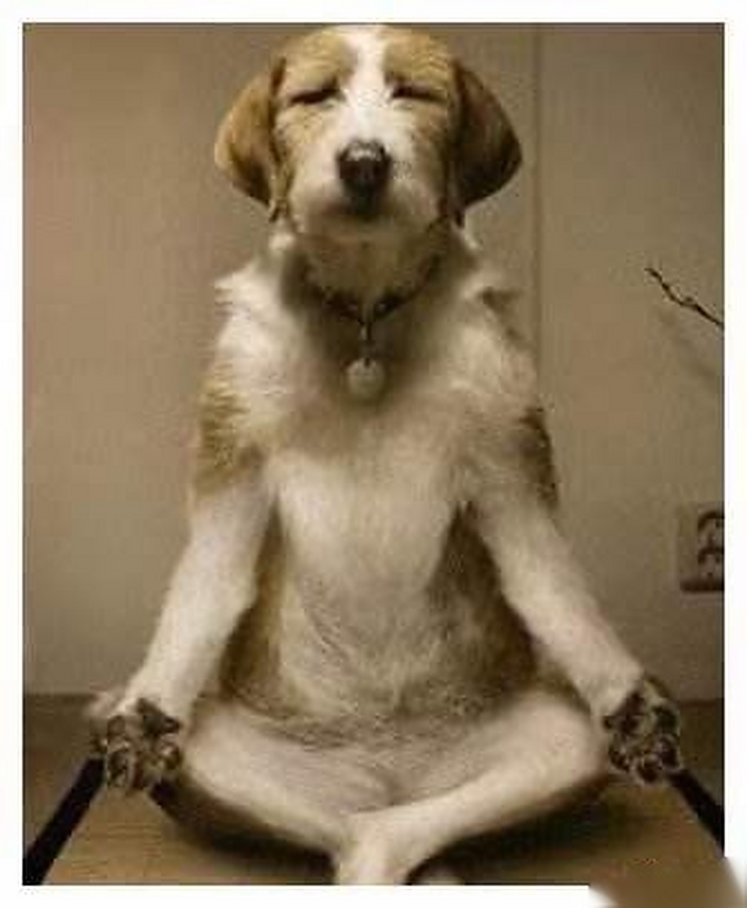 闭关结束,好好锻炼,好好拍戏