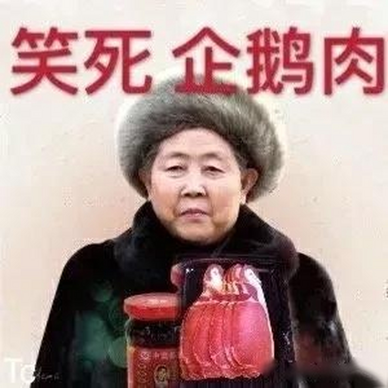 陶华碧表情包图片