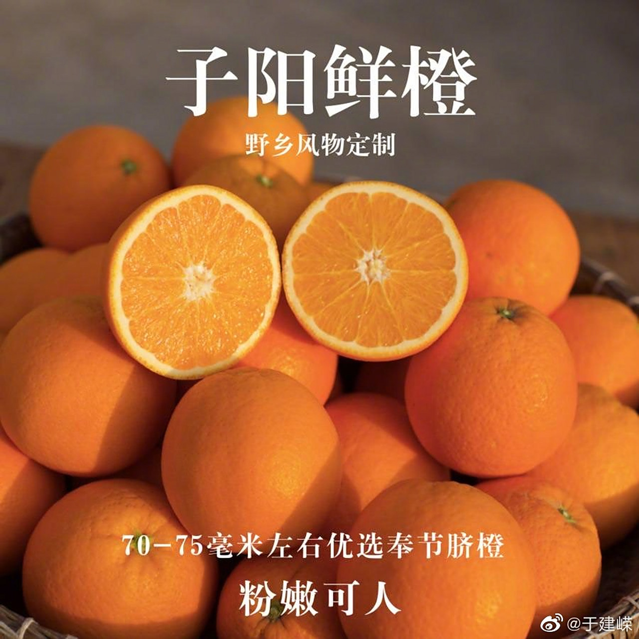 【广告】著名作家野夫兄,为帮助果农,代言的子阳鲜橙正式入驻超级社区