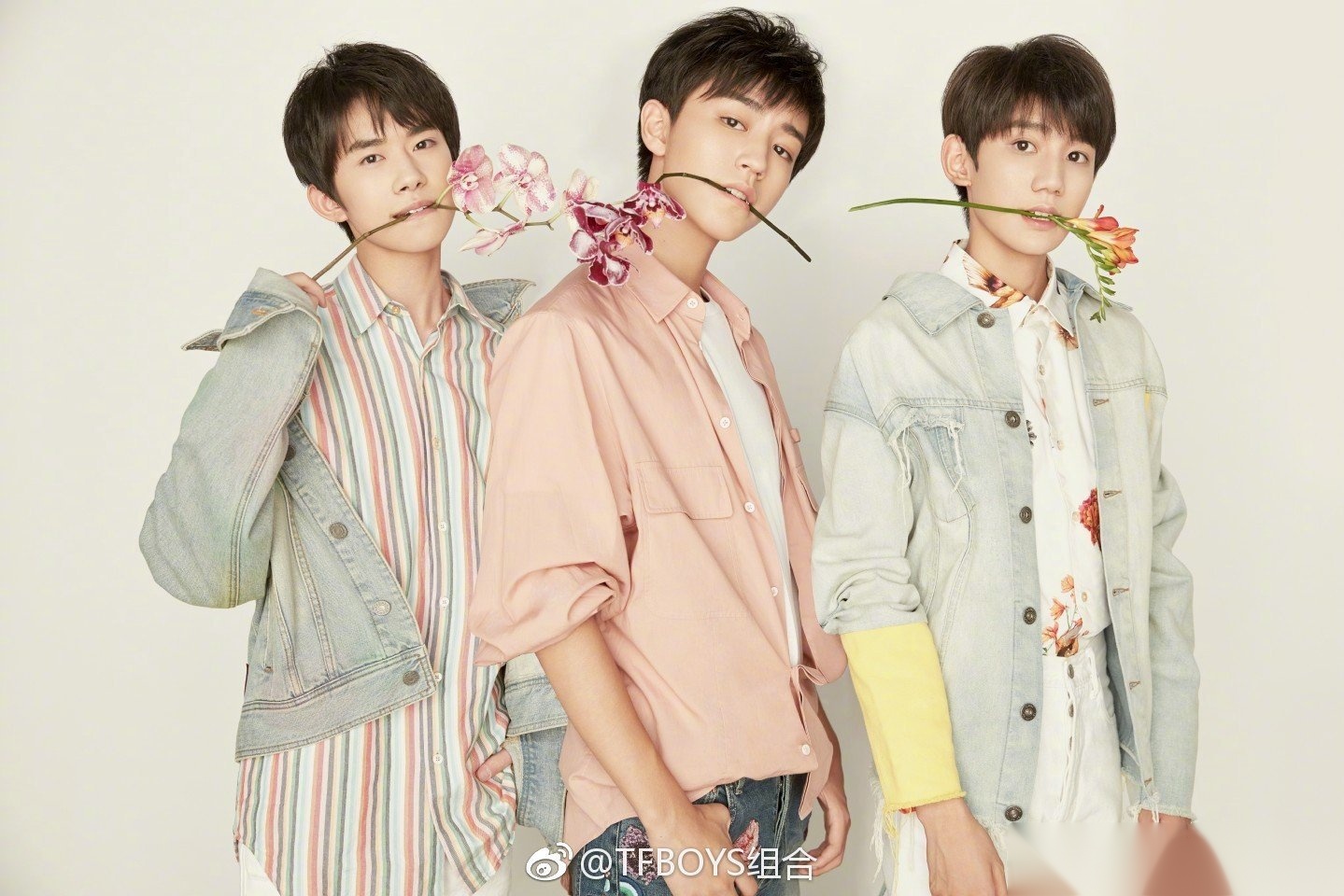 王俊凯王源工作室包场少年的你tfboys三人同行tfboys  这三个小孩,像