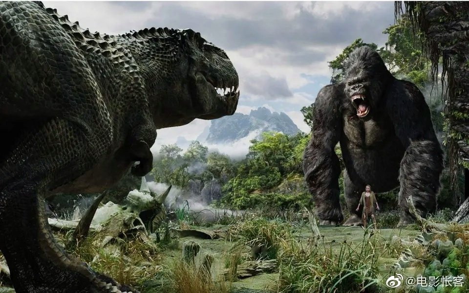 2005年由彼得·杰克逊执导的金刚是一部非常优秀的电影,其故事以及