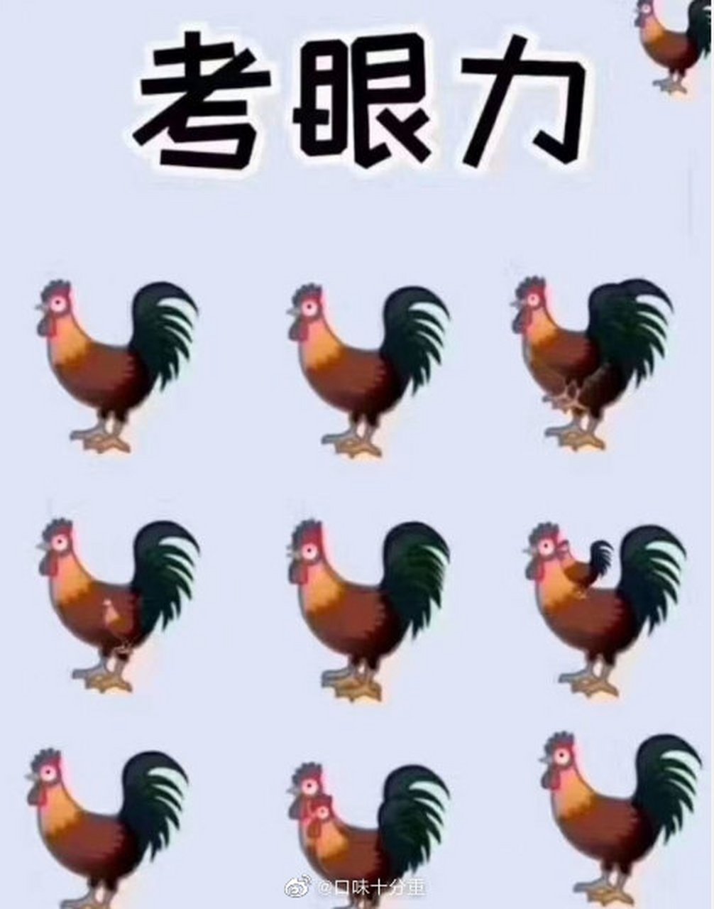 考眼力,到底有几只鸡?
