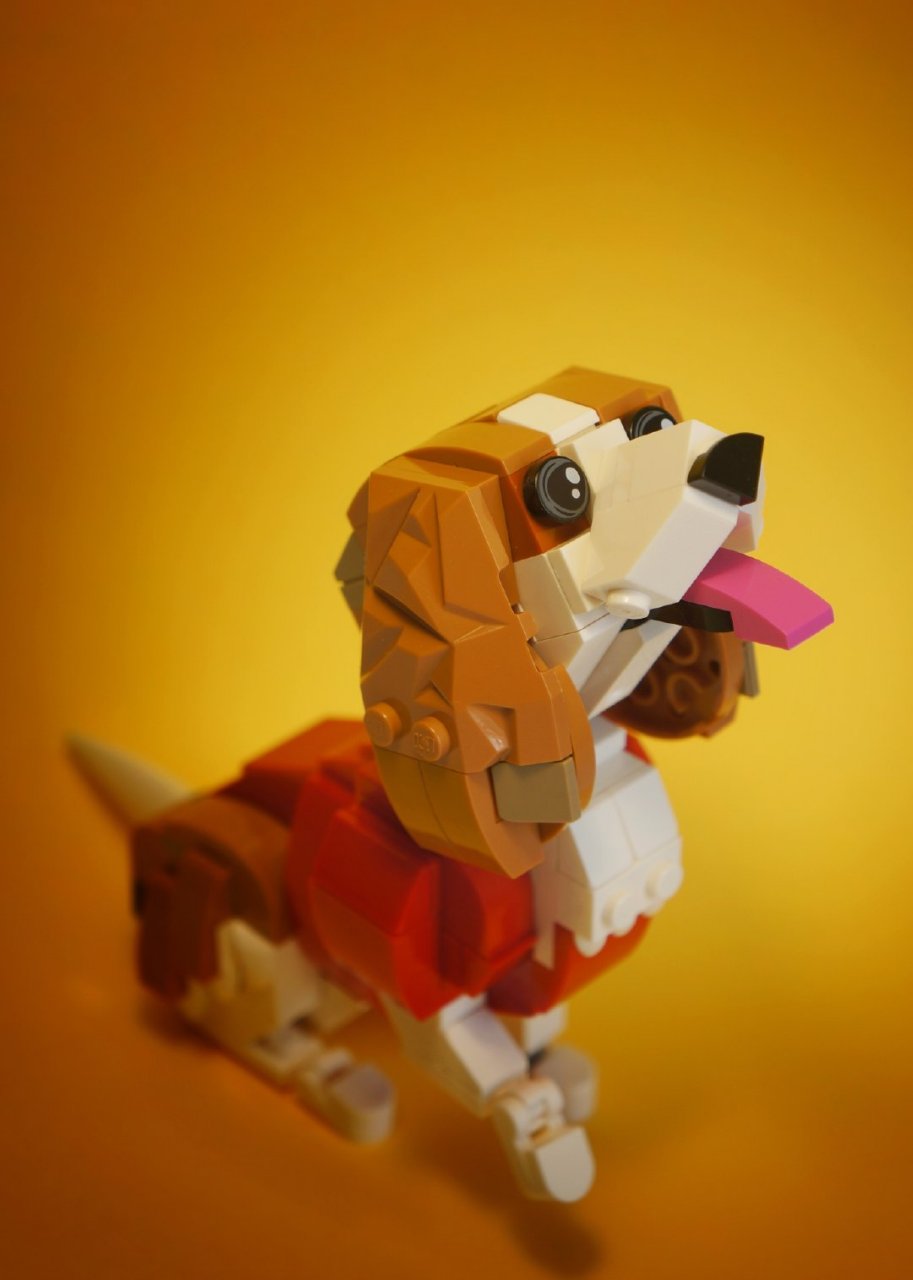 来自设计师marco gan分享的这个乐高moc小狗,设计的真的挺有趣的.