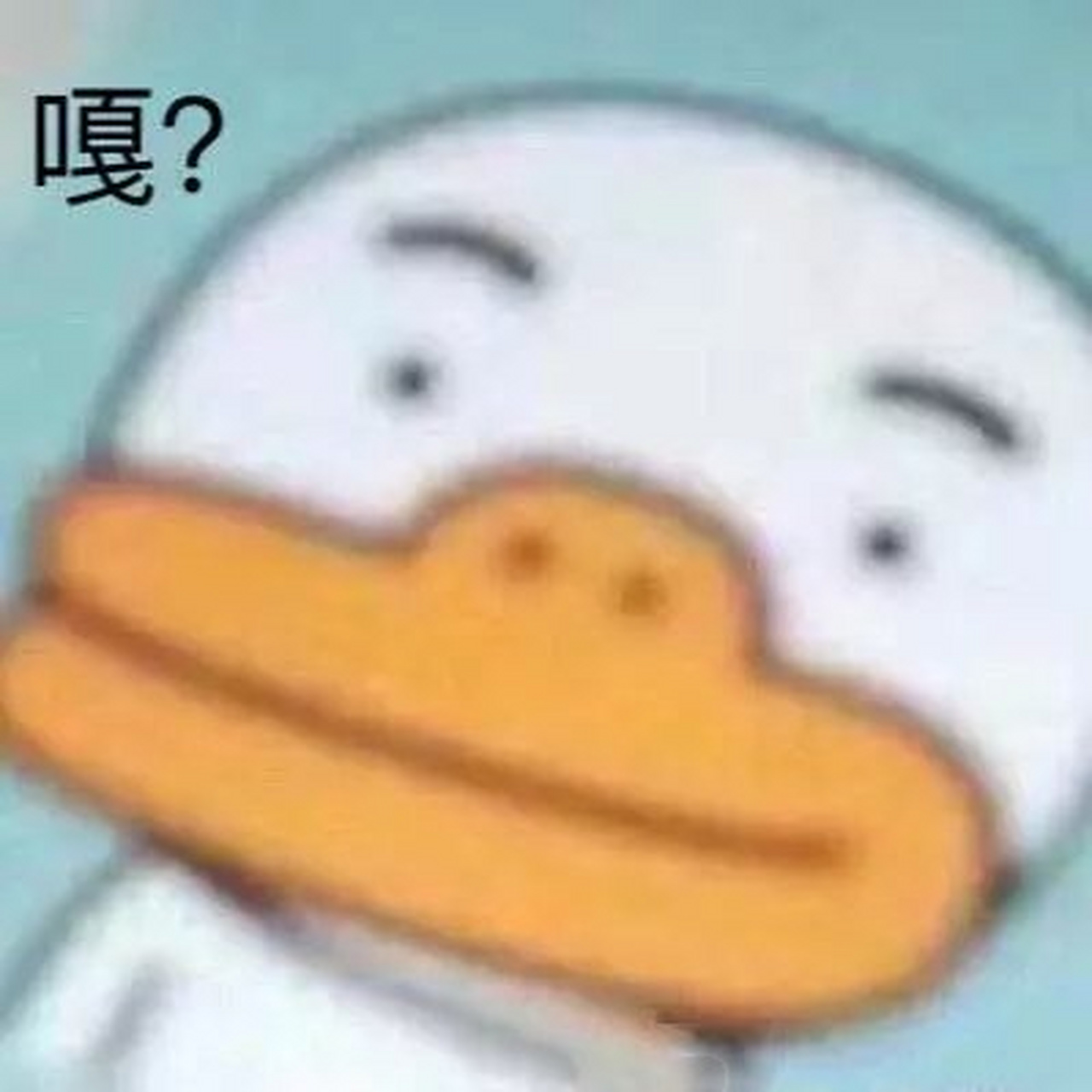 哈哈哈哈,笑死我了内心戏很足 .