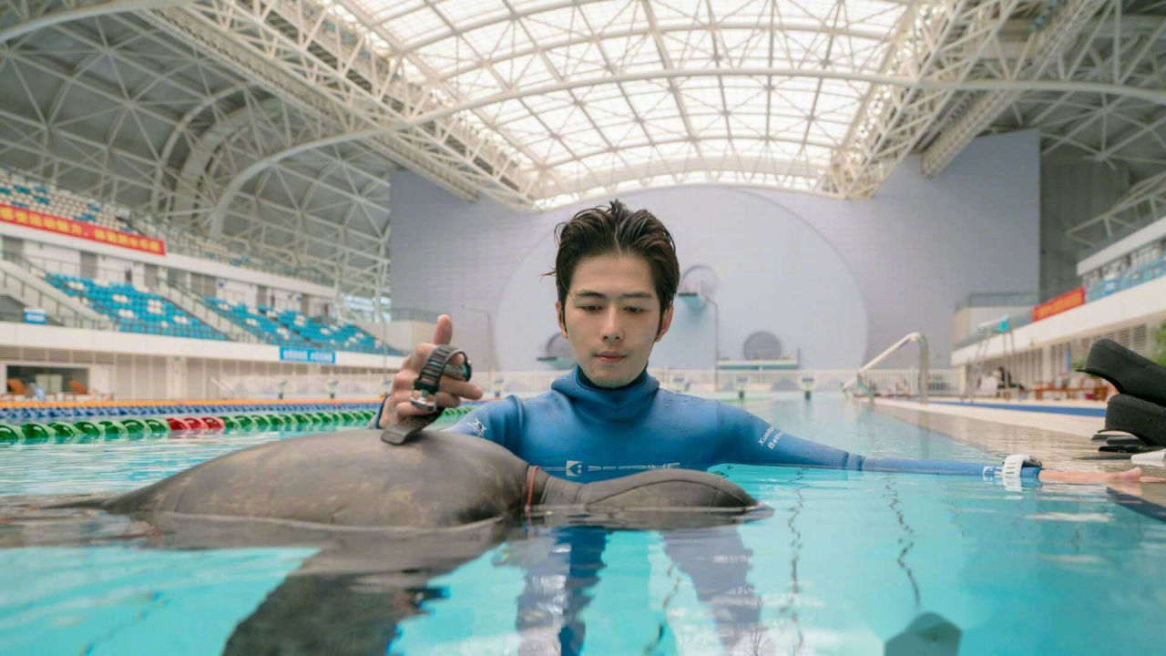 陈学冬不愧是四证教练,短时间内将黄景瑜和盛一伦培训成了自由潜水员.