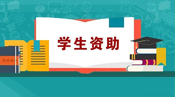 头条账号注册职业怎么填(头条账号注册职业怎么填写)