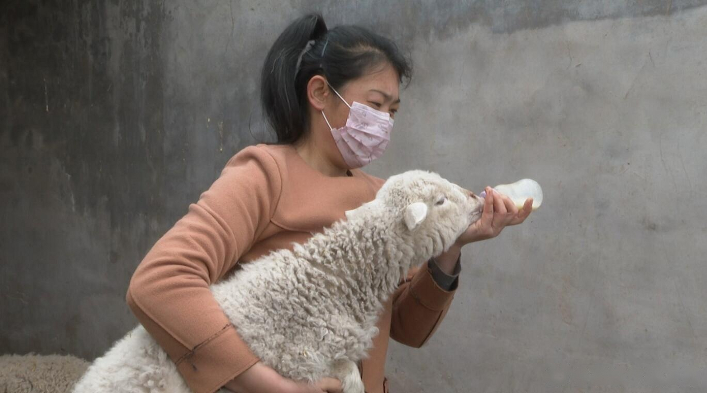 准格尔人的小康时代