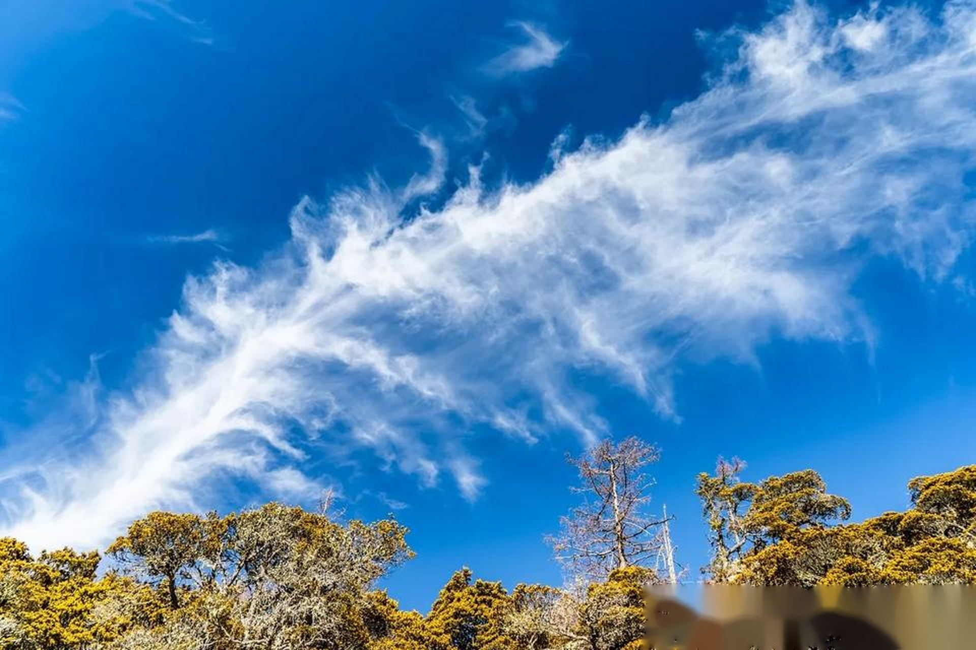 天上云……漂亮吗?