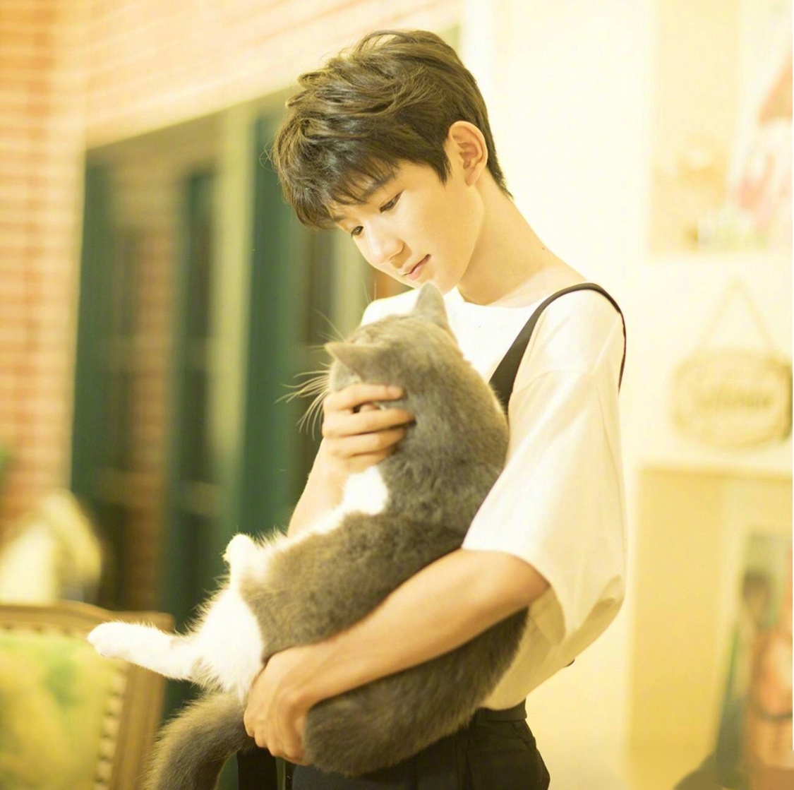 王源终于发自拍了!配文"撸猫".小猫缩在王源怀里的样子真是让人了,不