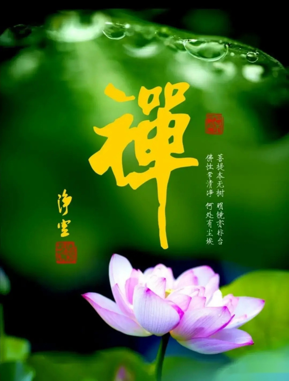 远离所有的虚情假意,远离所有的口是心非,远离所有的阳奉阴违,远离