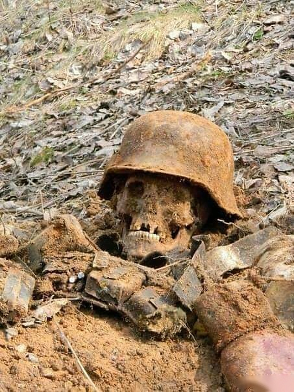 俄罗斯出土的一具二战德军遗骸