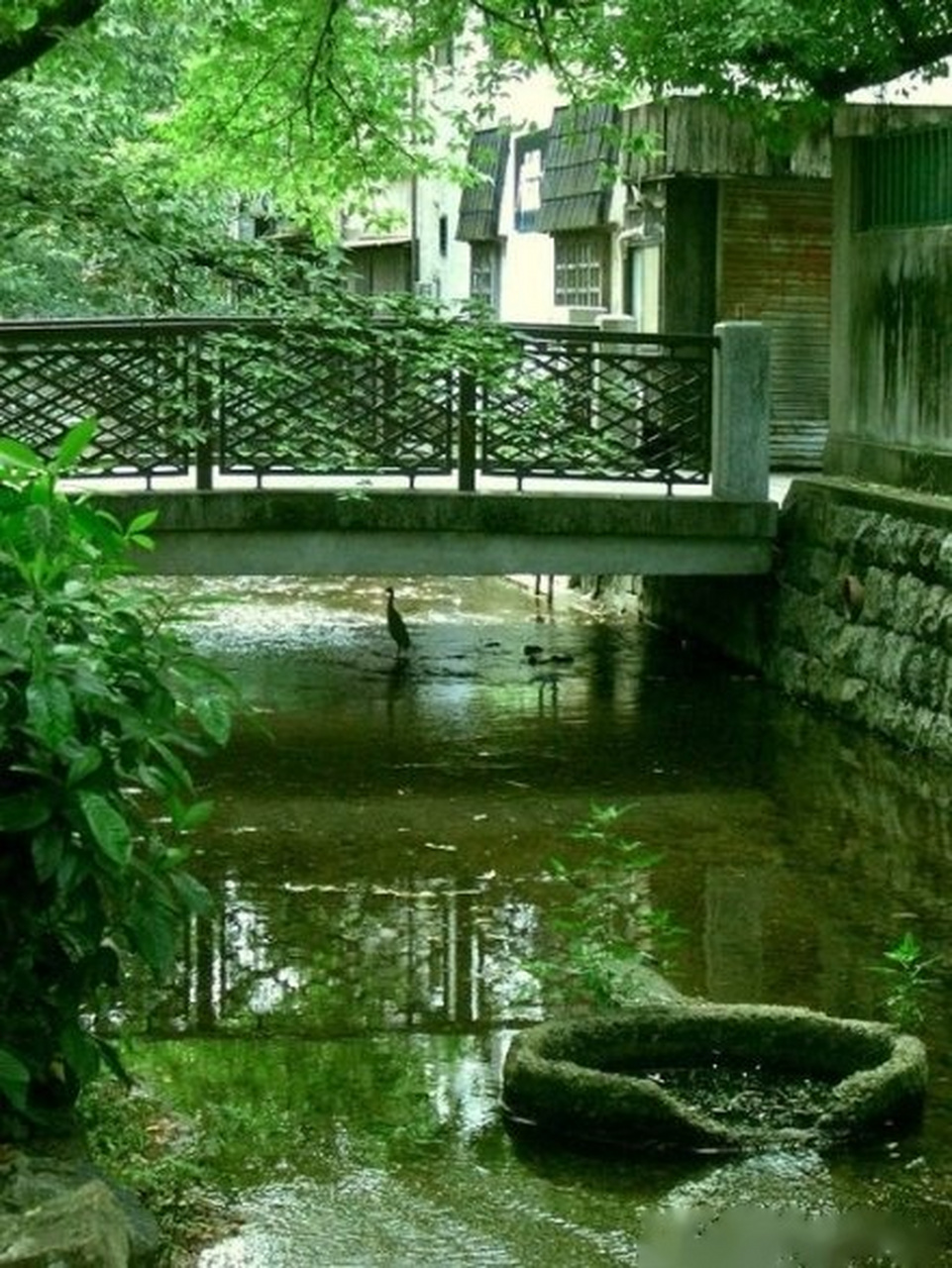 个公司高管的权力,通常由两方面因素组成:一是本身部门在公司中的地位