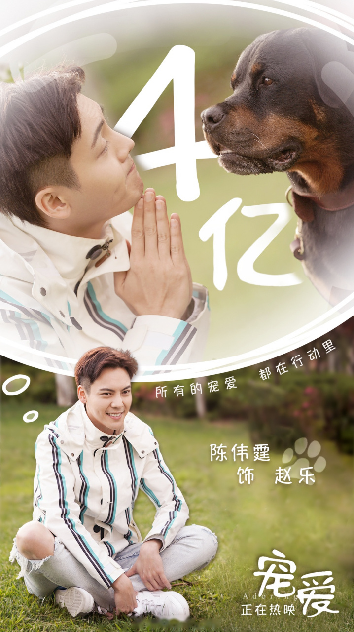 陈伟霆参与的电影《宠爱》票房突破4亿,爱与温柔,一起拥有,2020继续