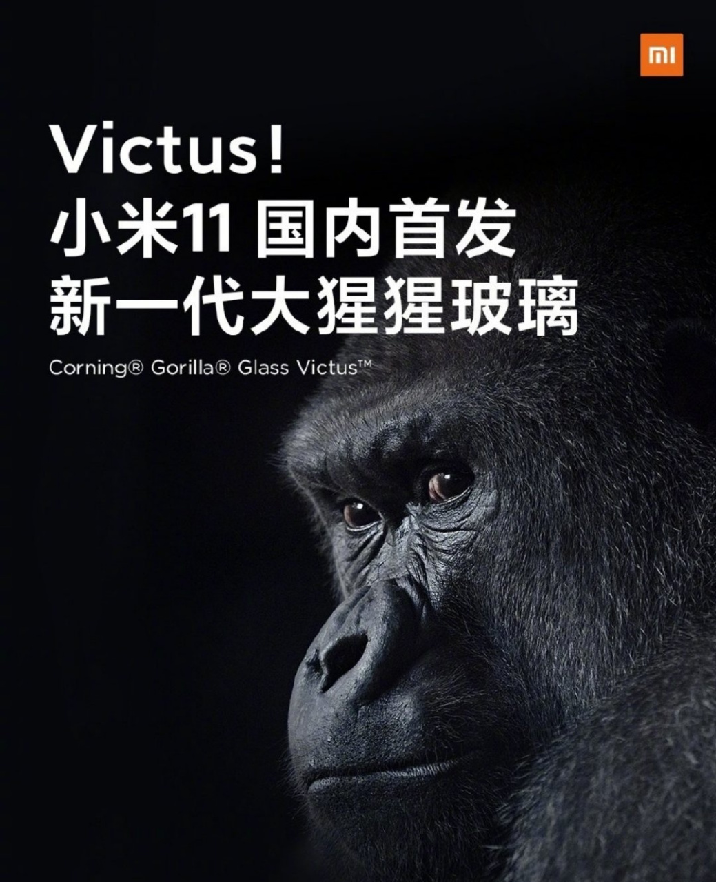 今年有哪款国产旗舰机配备了康宁第七代大猩猩玻璃?[三哈]