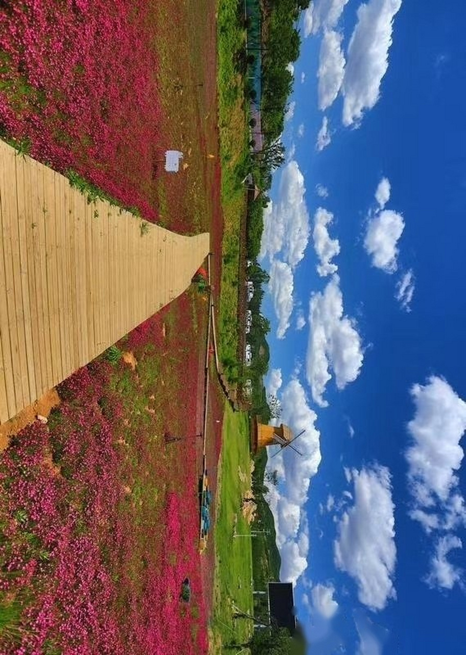 【生态蒙阴 魅力垛庄】  摄影:公茂栋