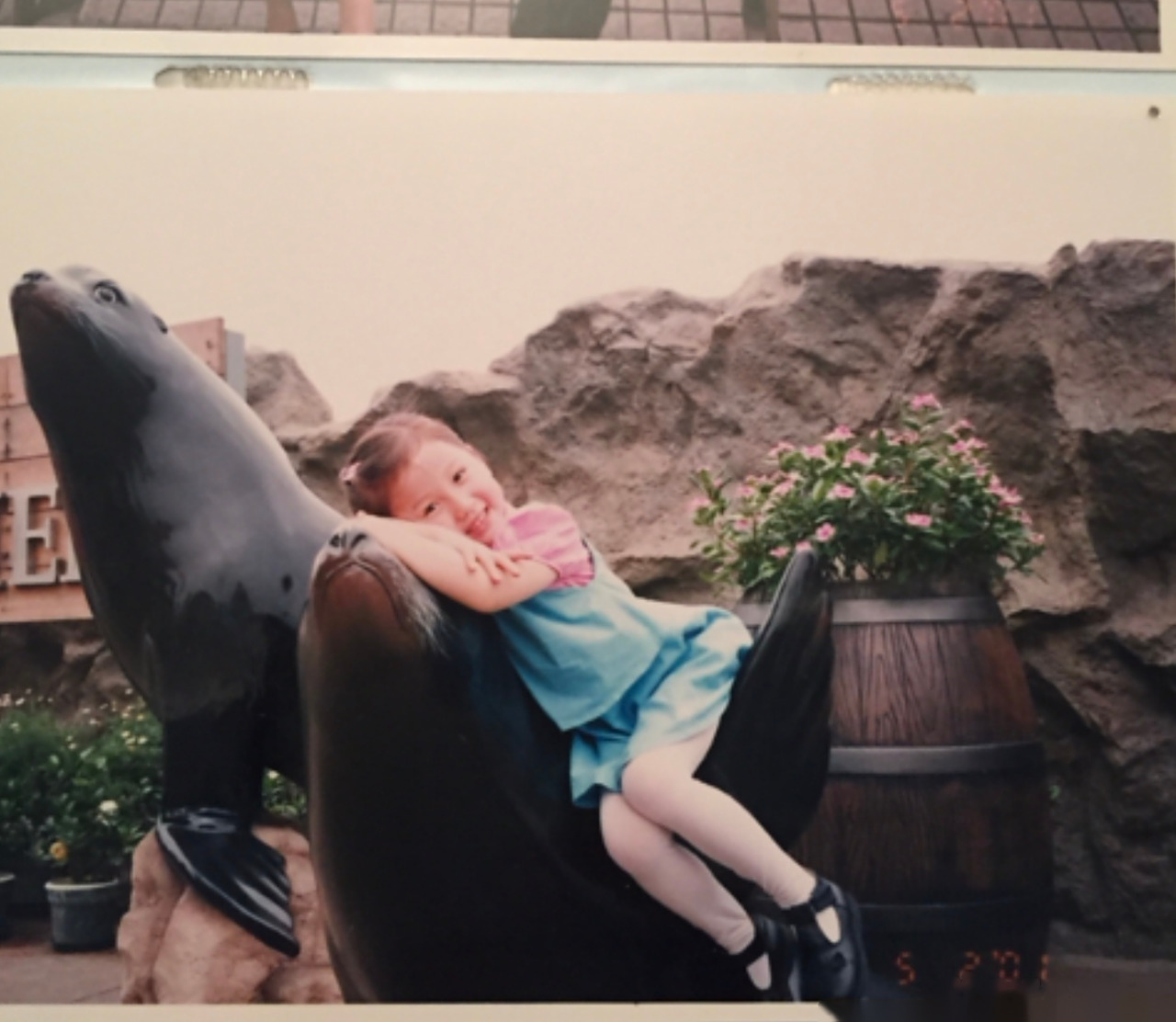 青春有你2# 虞书欣小时候照片曝光,能看出虞书欣小时候就活泼开朗