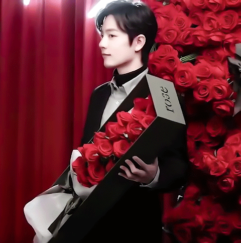 肖战式爱的告白 小王子和他的玫瑰花系列 有你的每天都是情人节