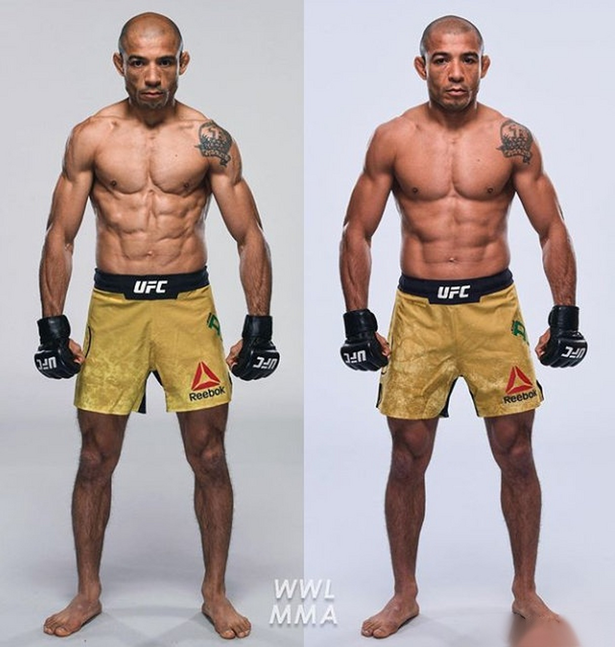 "刀疤"何塞·奥尔多在不同量级时的体态对比,一颗老战士的内心对冠军