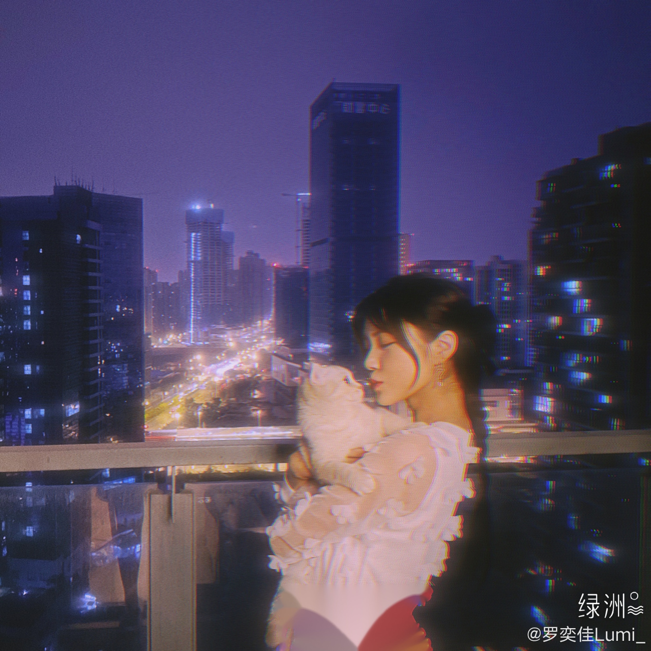 有猫有狗就是人生赢家天越黑,星星越亮