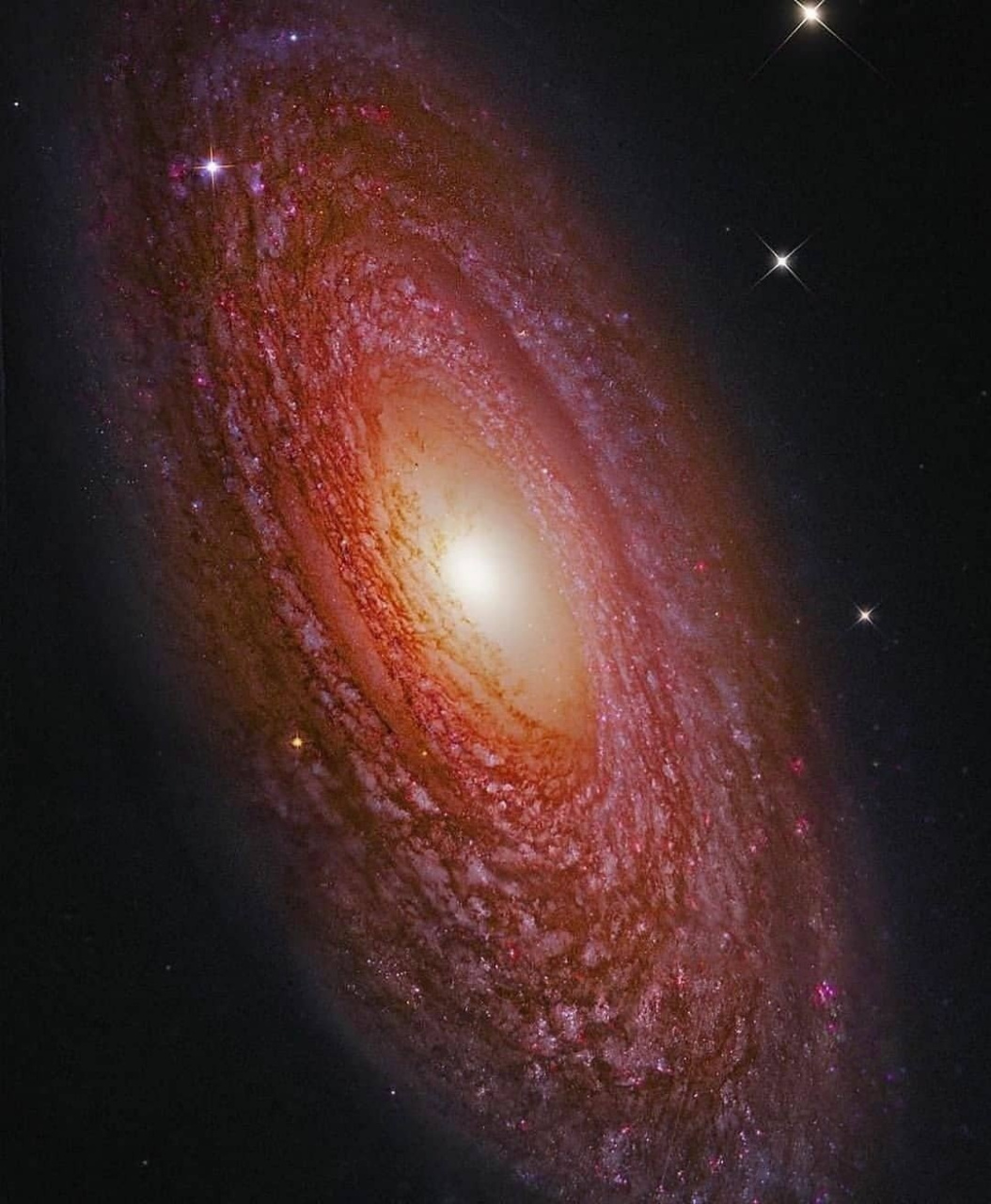 ngc 2841 是位于大熊座的一个螺旋星系.