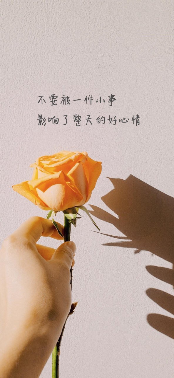 梦想教育：激发潜能的魔法之书