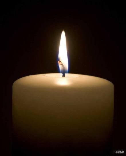 致敬所有为抗击疫情付出生命的英雄们!