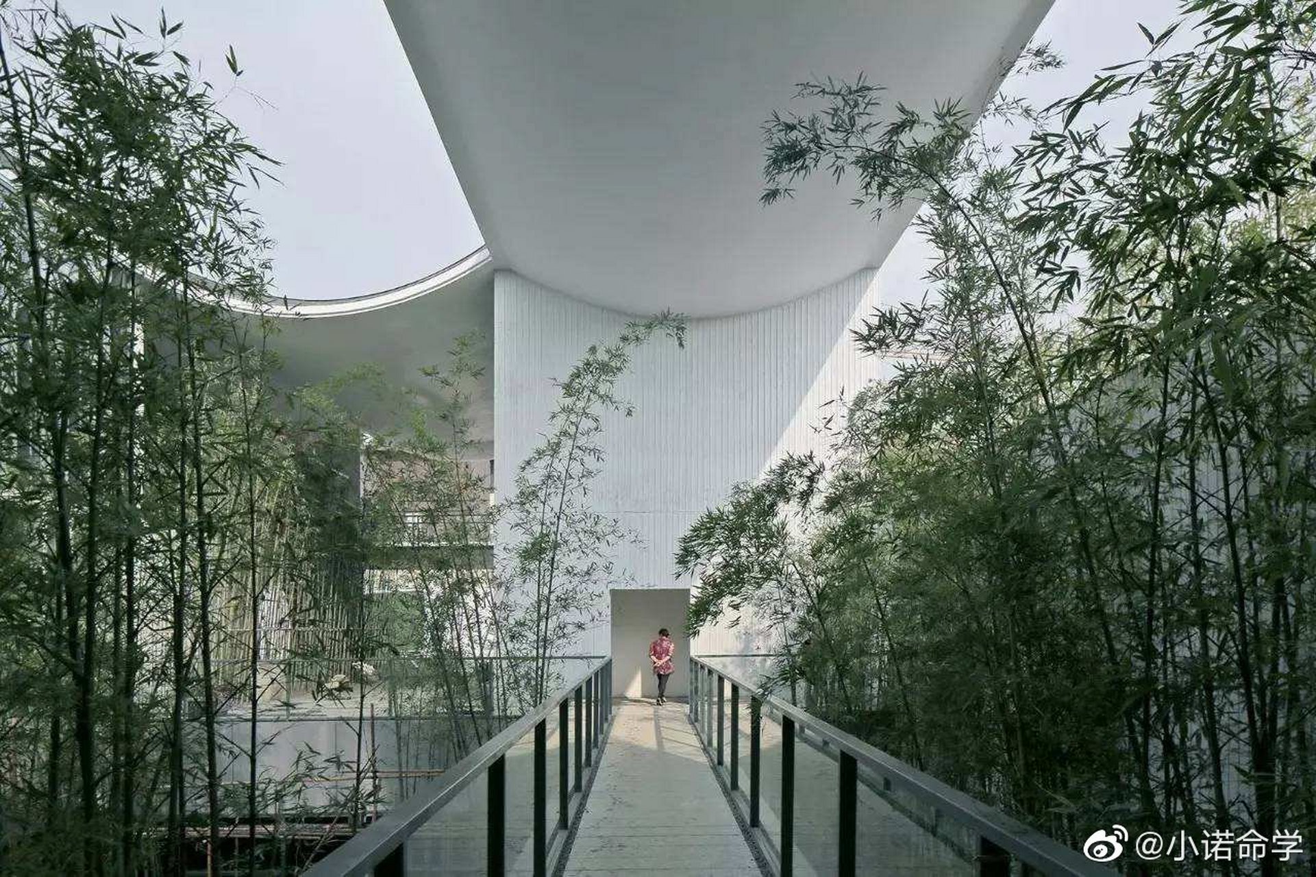 配偶星与日干相合者  男命中以财星定义为配偶星,女命中以官星定义为