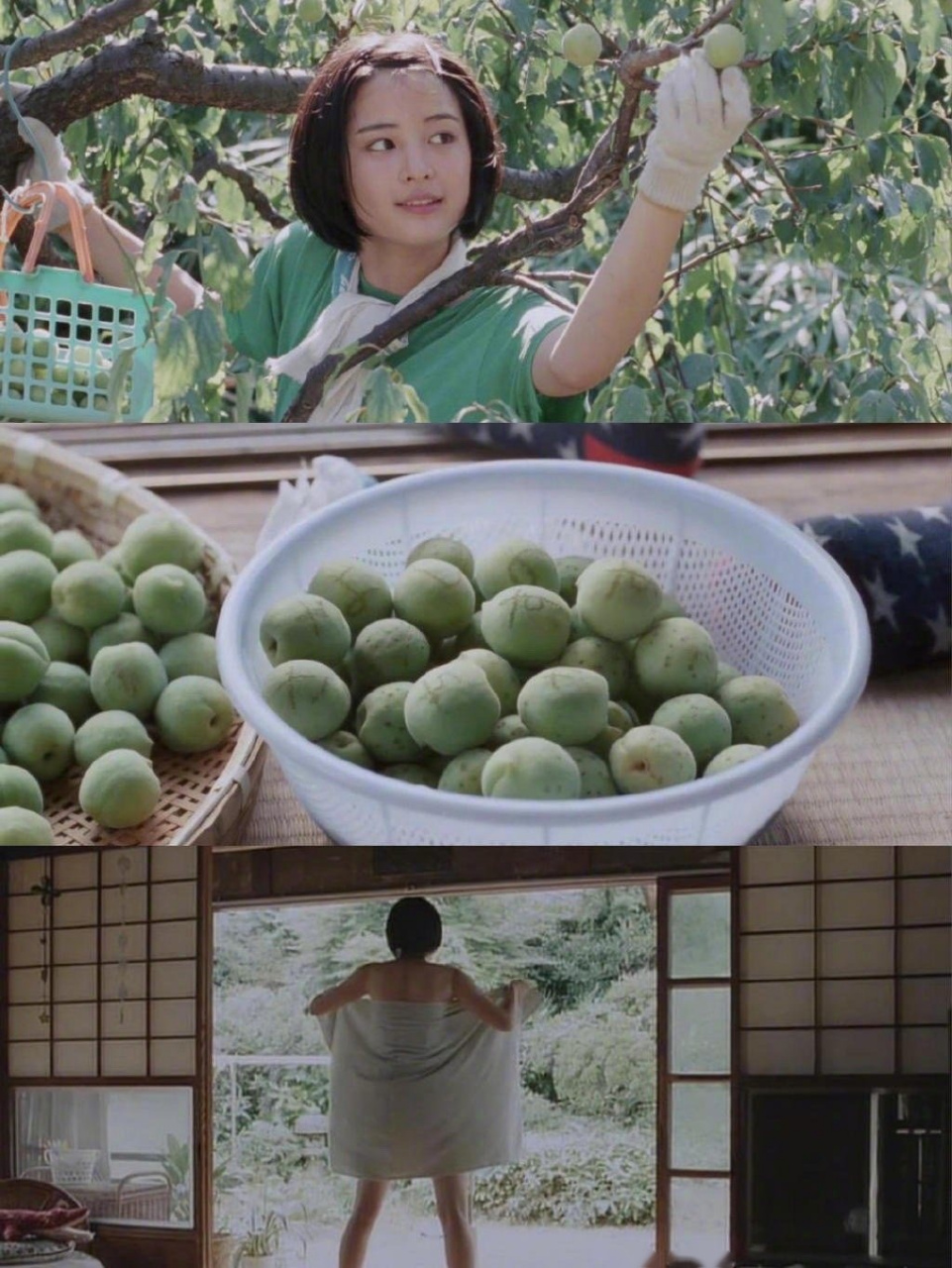 8分  4,《小森林》夏秋篇豆瓣9分  5,《契克》豆瓣8.4分  6,《夏