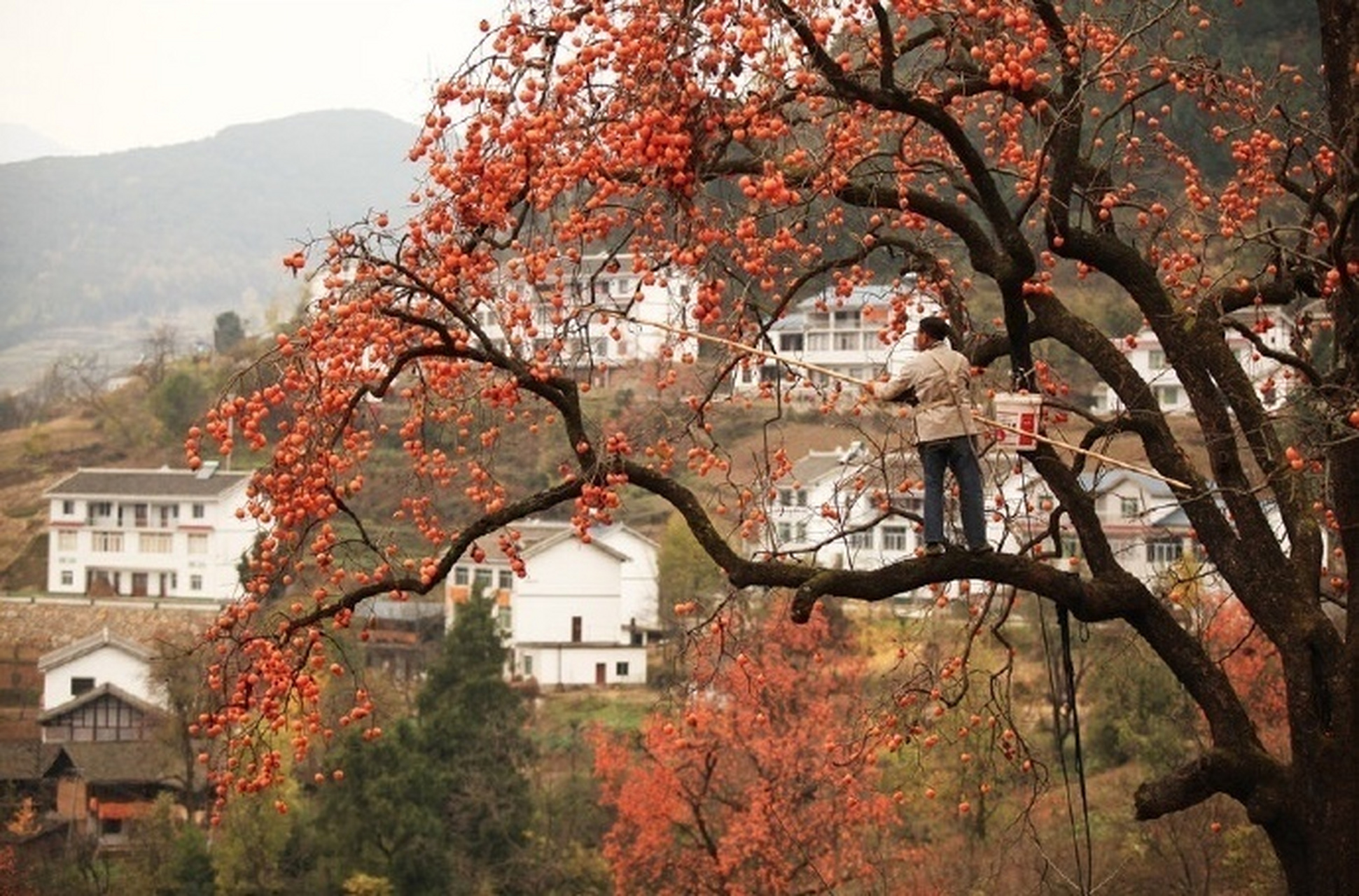 落俗不可避免,浪漫至死不渝.  #罗志渊# #文学