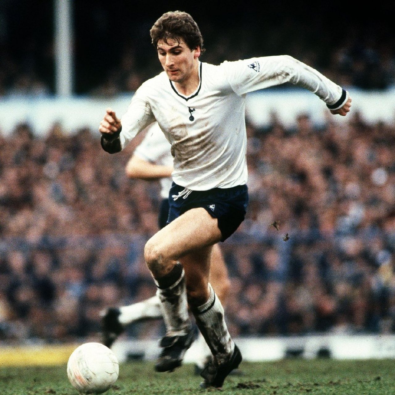 祝我们的传奇前锋马克-法尔科生日快乐  #coys# #热刺