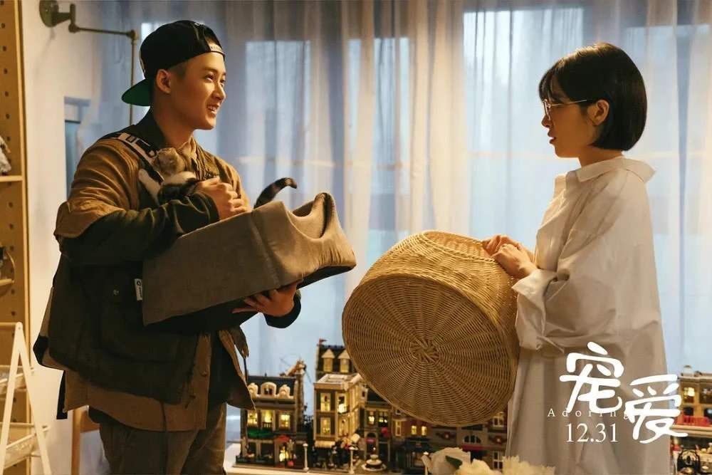 《宠爱》 由六段不同的温情故事组成 我一直相信,动物是通人性的 它们