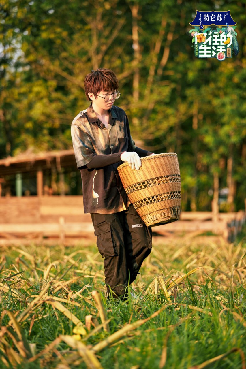 向往的生活生活不易,多点才艺.