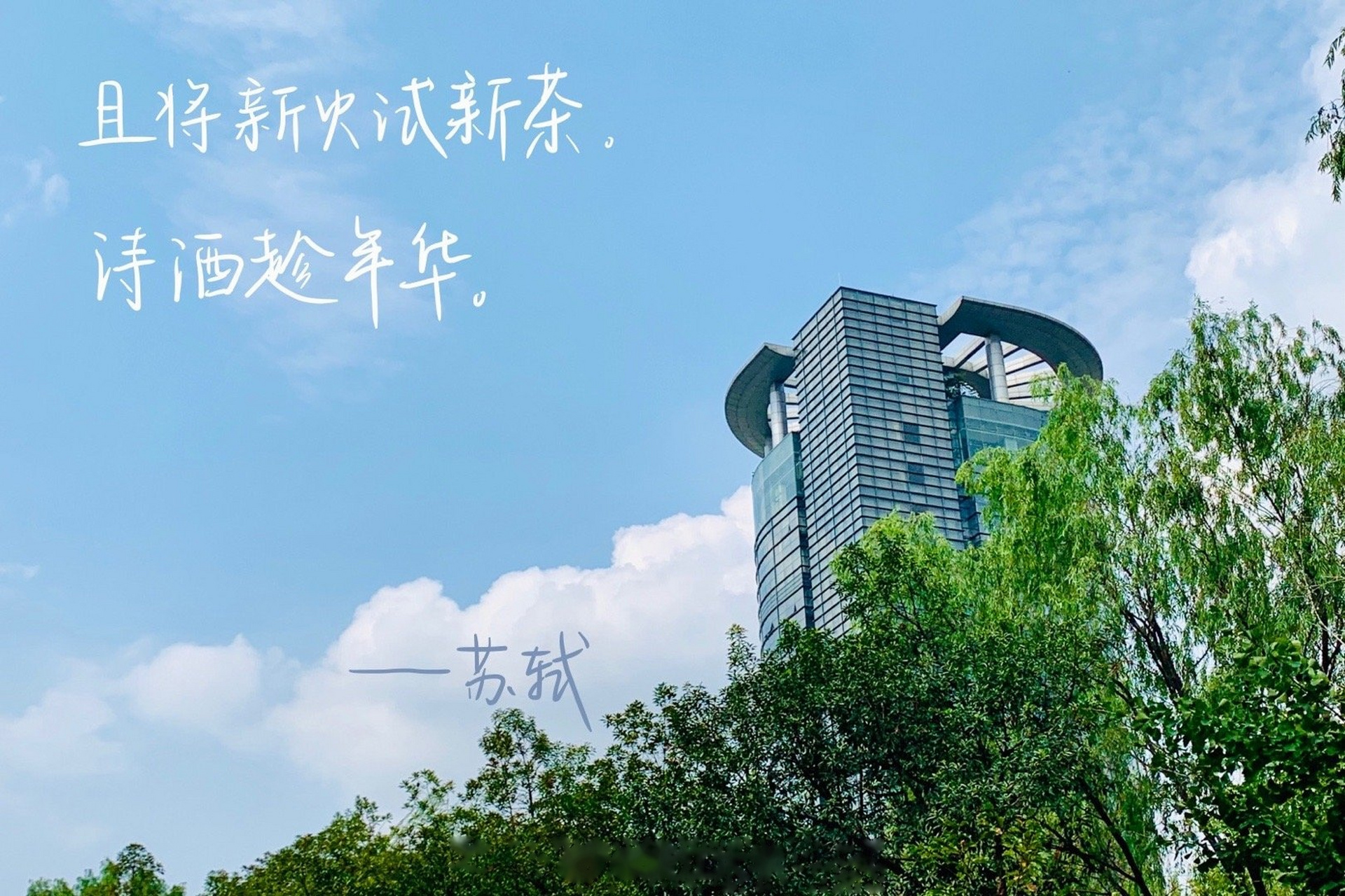 诗酒趁年华. ——苏轼