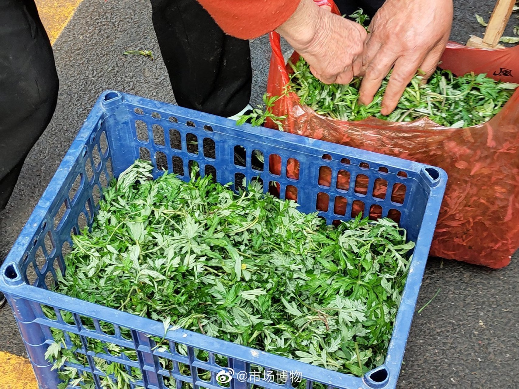 湖南衡山县开云农贸市场,满街都是清明艾和田艾(鼠曲草.