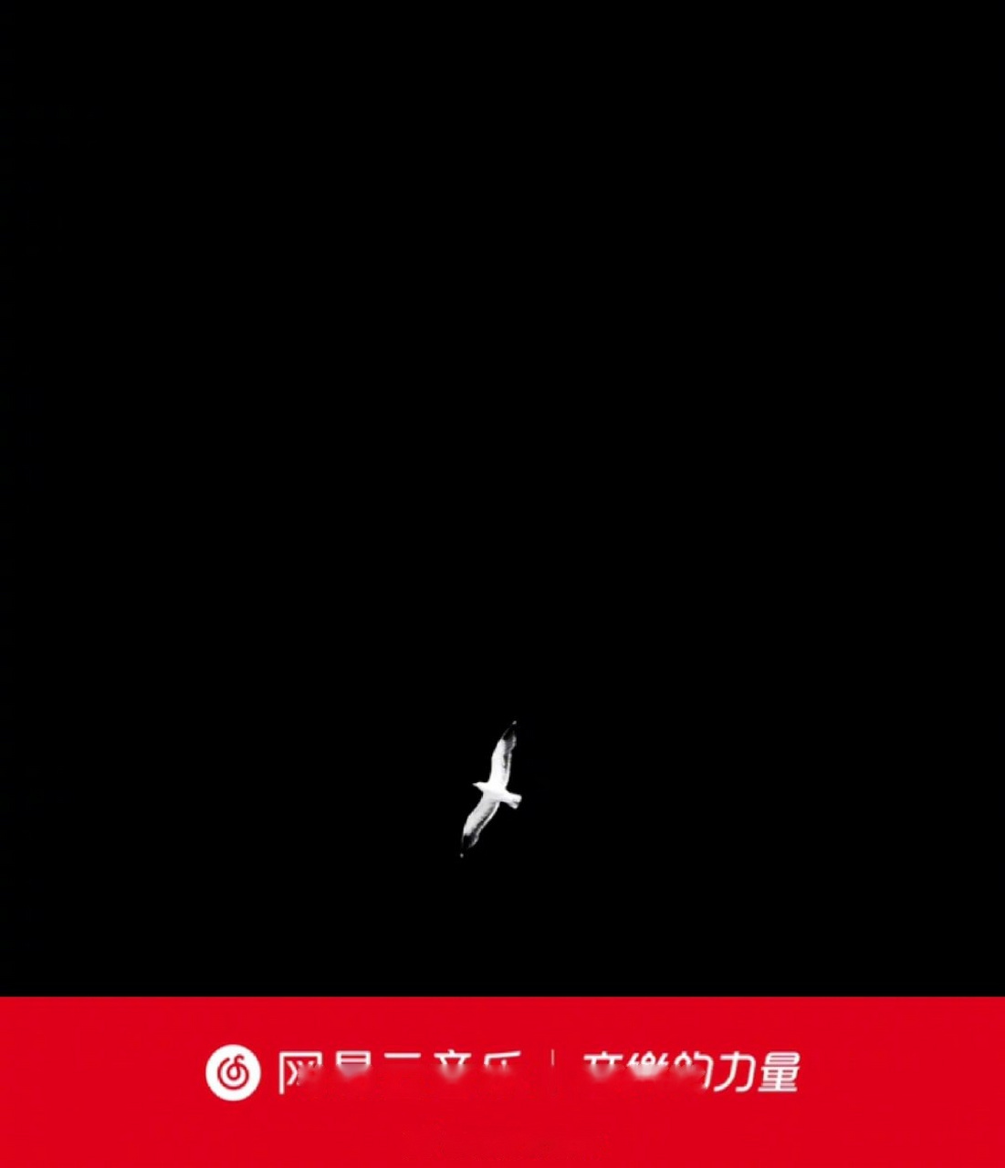 全新单曲《无爪之鸟》来自音乐人corki宗鑫 ,灵感来源于《阿甘正传》