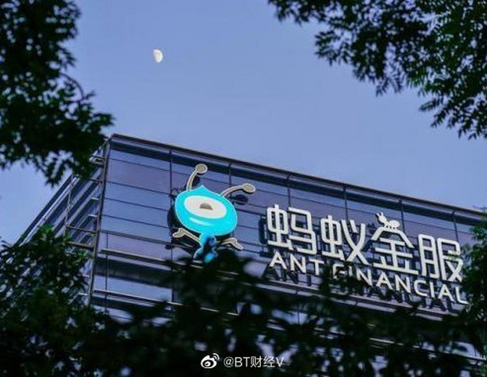蚂蚁bt官网=蚂蚁bt 720p