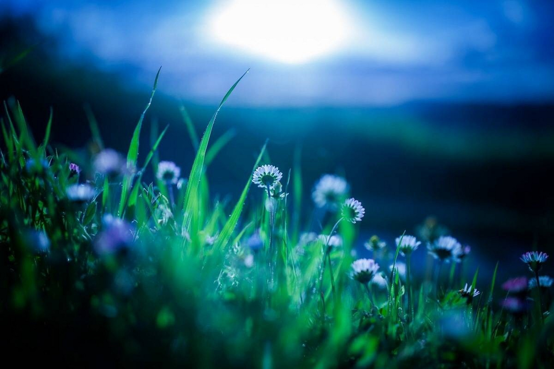 《绮怀》【清】黄景仁 几回花下坐吹箫,银汉红墙入望遥.