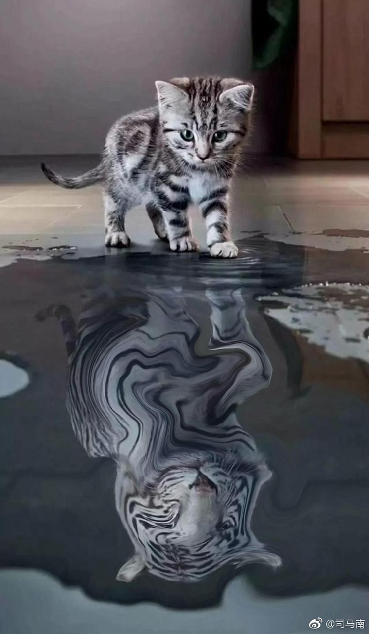 自我膨胀的认识论, 终于看到了想要看到的.