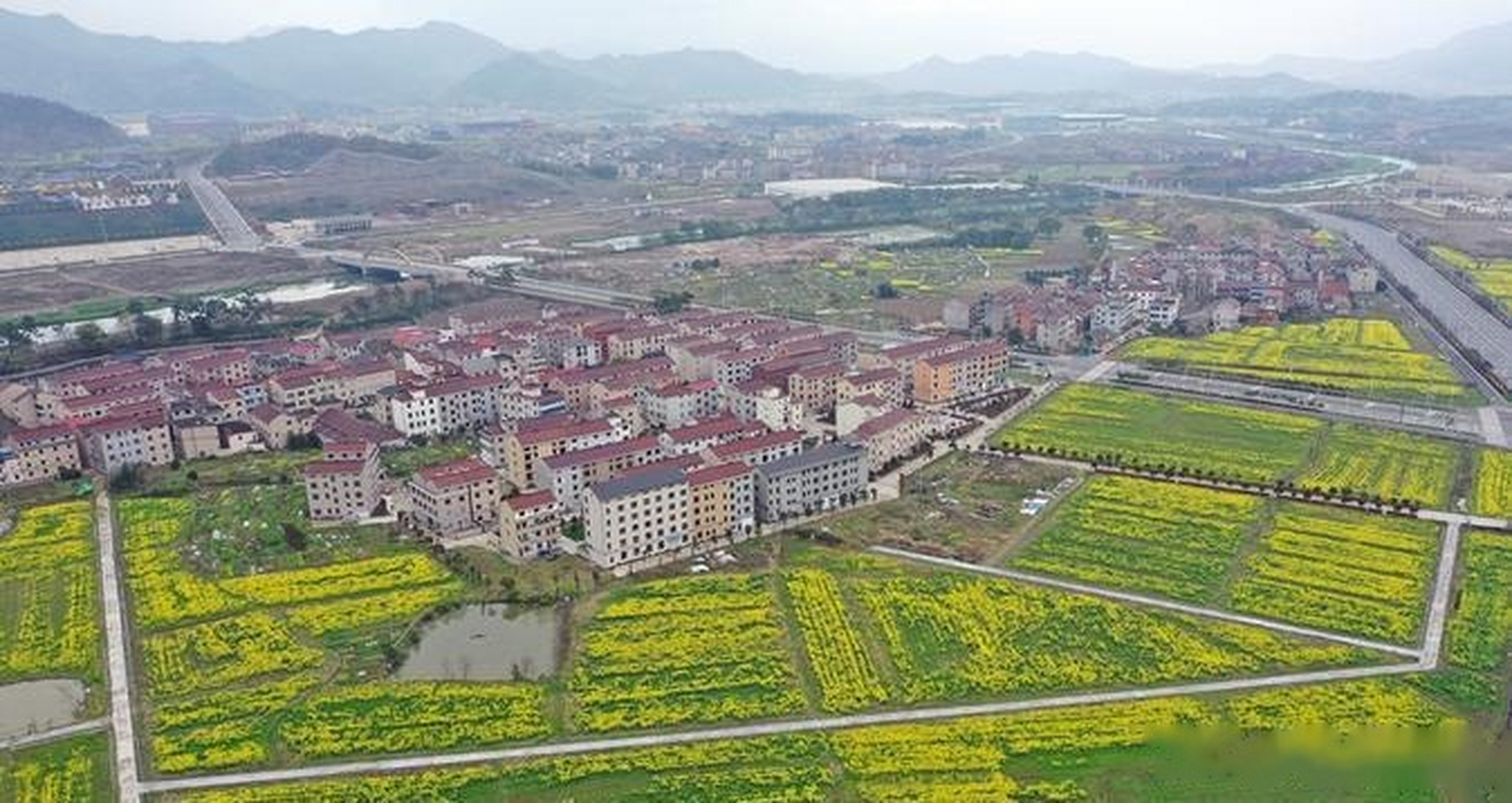【400亩油菜花竞相绽放】近日,东阳市横店镇联盟村400亩油菜花竞相