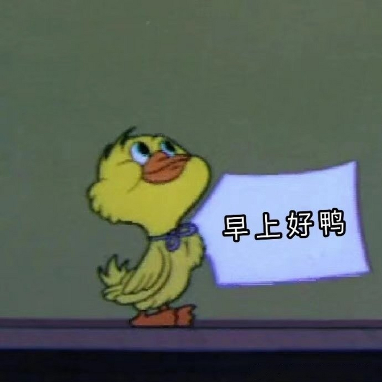 早上好鸭[兔子]