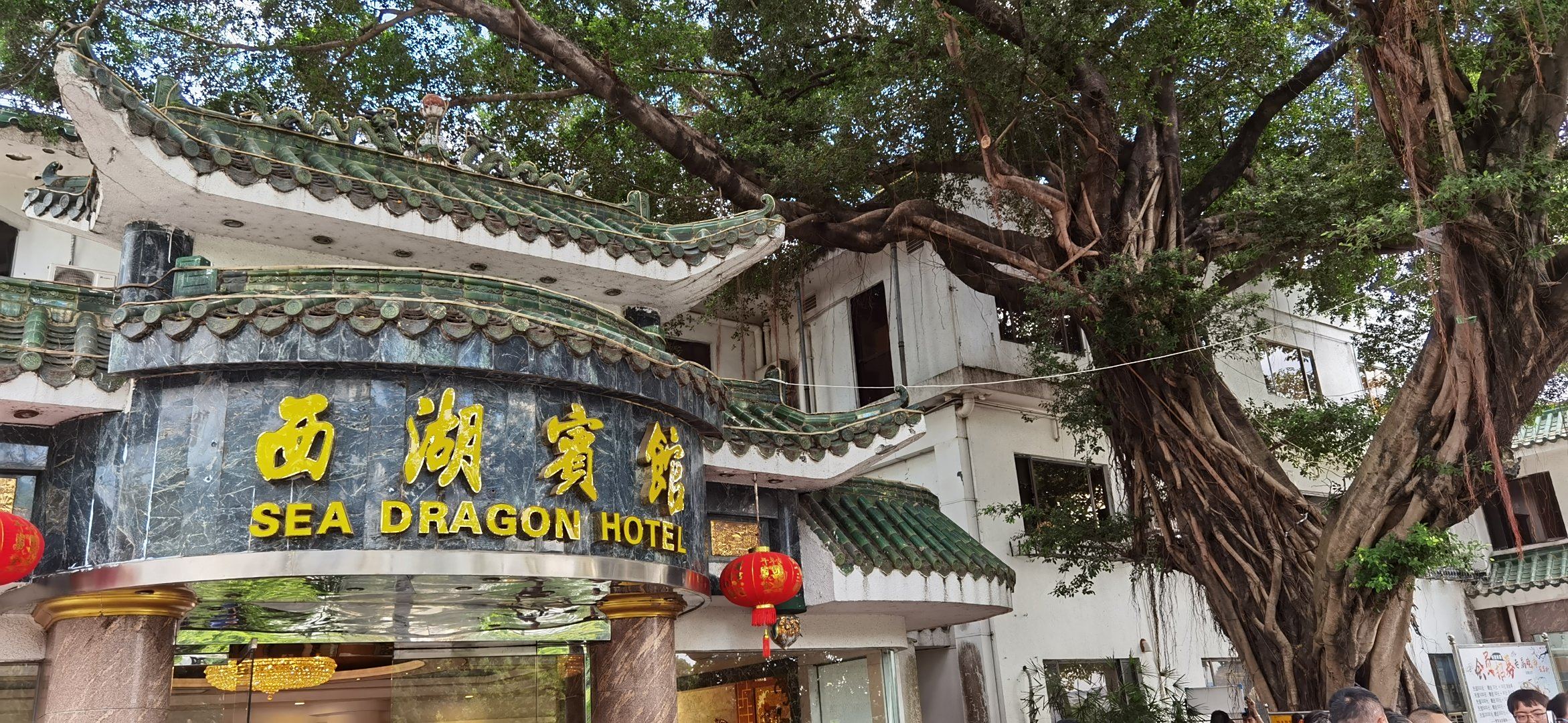 今天在广东惠州的西湖宾馆取景拍摄,二十多年前我是导游时,就带旅游团