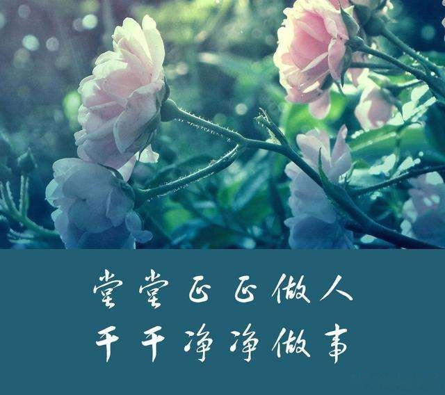 我不需要那些虚名利,我是一个做事情的人,所以,不管你是谁?