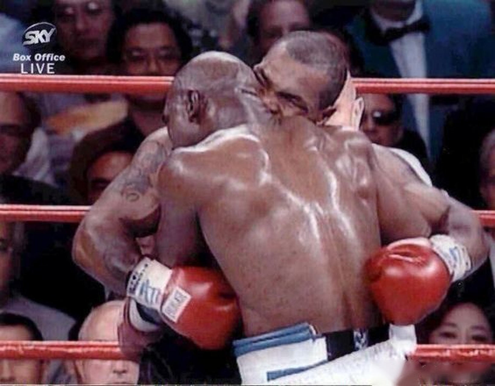 拳王泰森咬耳朵的精彩瞬间.