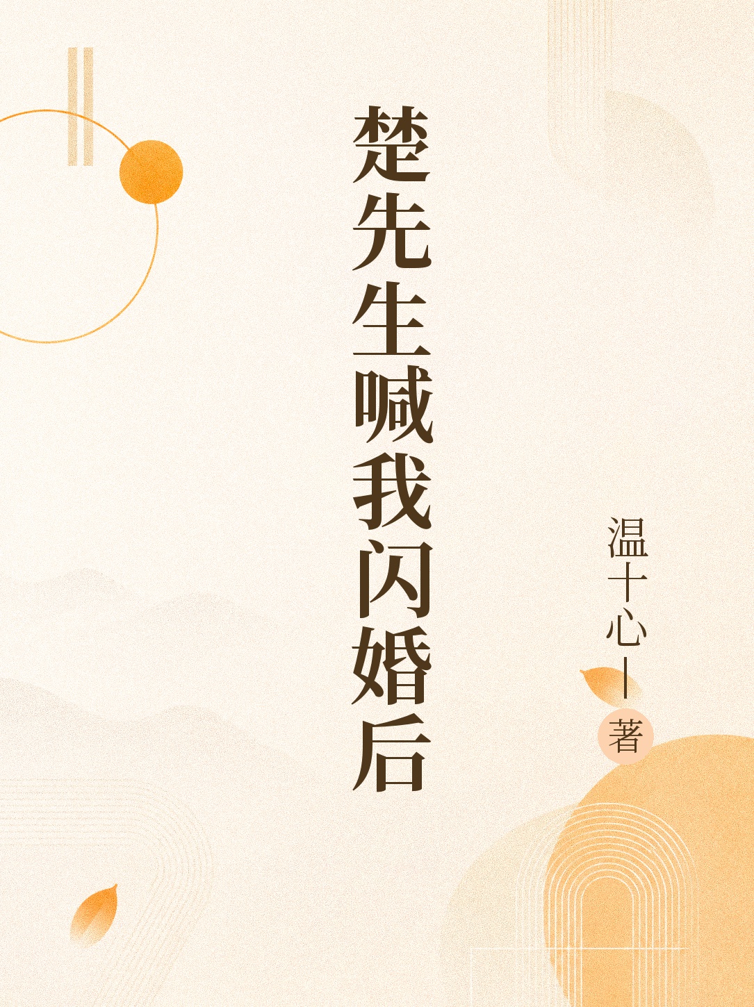 楚先生喊我闪婚后