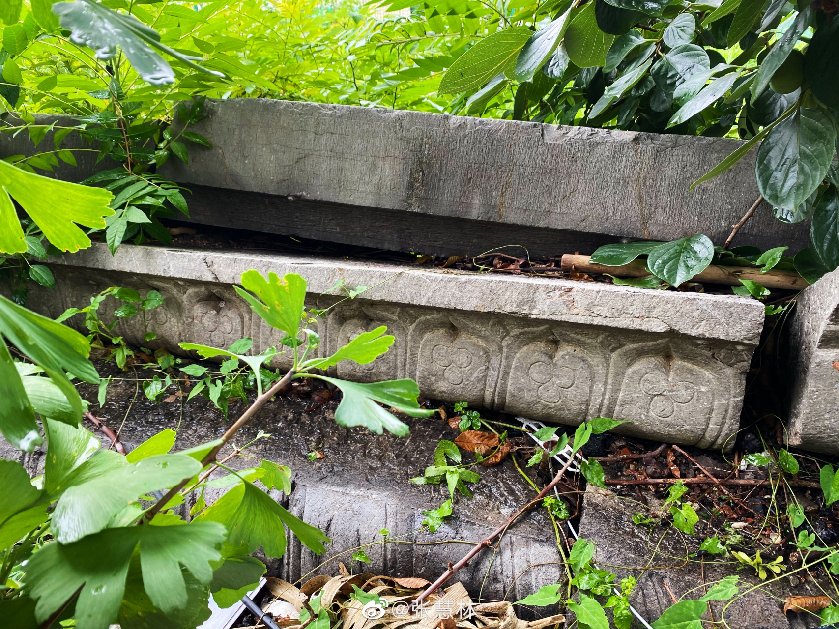 探秘自然#【窦村古戏台遗迹】该台位于江宁区麒麟街道窦村西北面